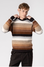 Random Stripes Crewneck Sweater