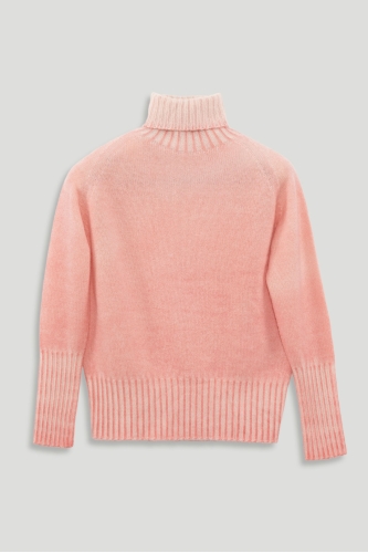 Cashmere Turtleneck